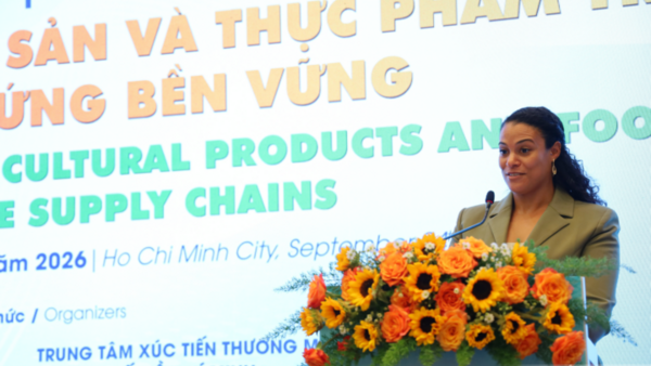 Tiêu điểm 24h