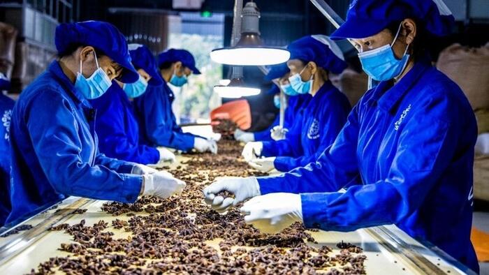 <a href="/thi-truong" title="Thị trường" rel="dofollow">Thị trường</a>