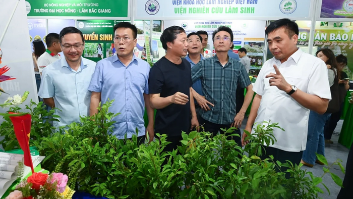 <a href="/thi-truong" title="Thị trường" rel="dofollow">Thị trường</a>