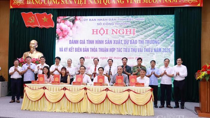 <a href="/thi-truong" title="Thị trường" rel="dofollow">Thị trường</a>