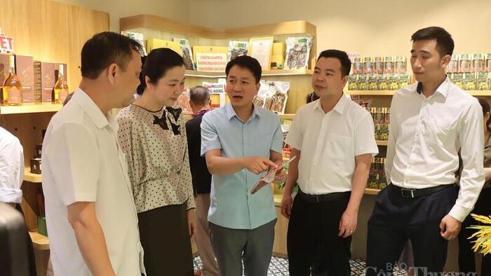 <a href="/thuong-gia" title="Thương gia" rel="dofollow">Thương gia</a>
