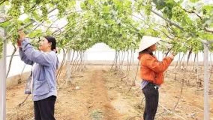 <a href="/tin-tuc-su-kien" title="Tin tức - Sự kiện" rel="dofollow">Tin tức - Sự kiện</a>