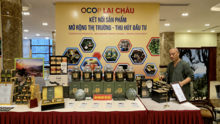 <a href="/thi-truong" title="Thị trường" rel="dofollow">Thị trường</a>