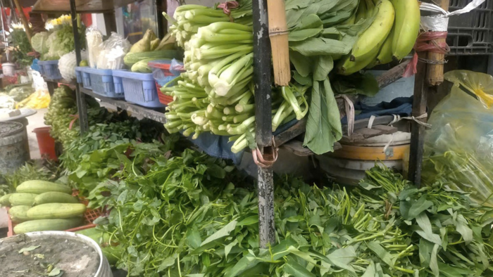 <a href="/thi-truong" title="Thị trường" rel="dofollow">Thị trường</a>