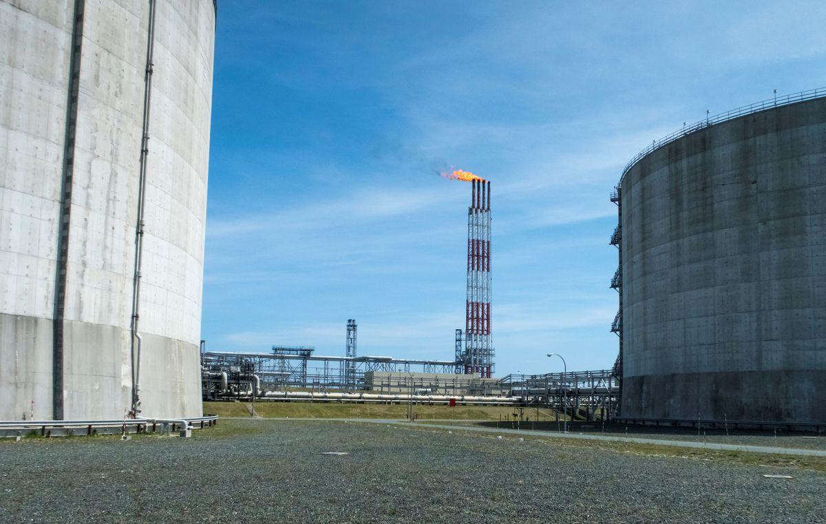 Nhật Bản, Nga hợp tác sản xuất hydro, amoniac để chống biến đổi khí hậu - Ảnh 1