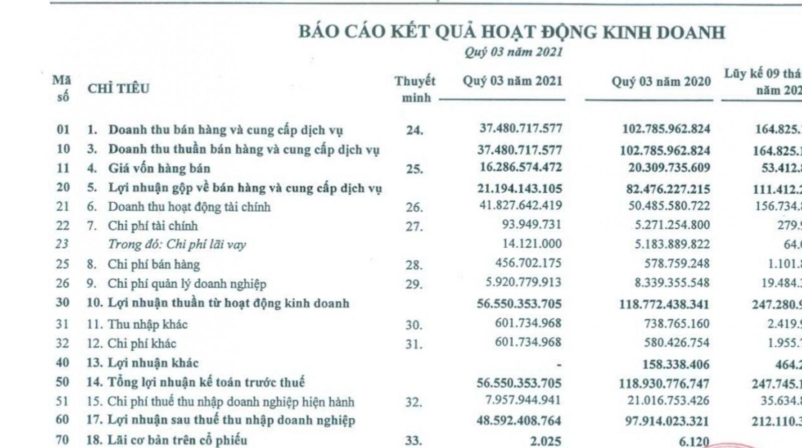 Hụt thu từ bất động sản, lợi nhuận quý III/2021 khu công nghiệp Nam Tân Uyên giảm 50% - Ảnh 1