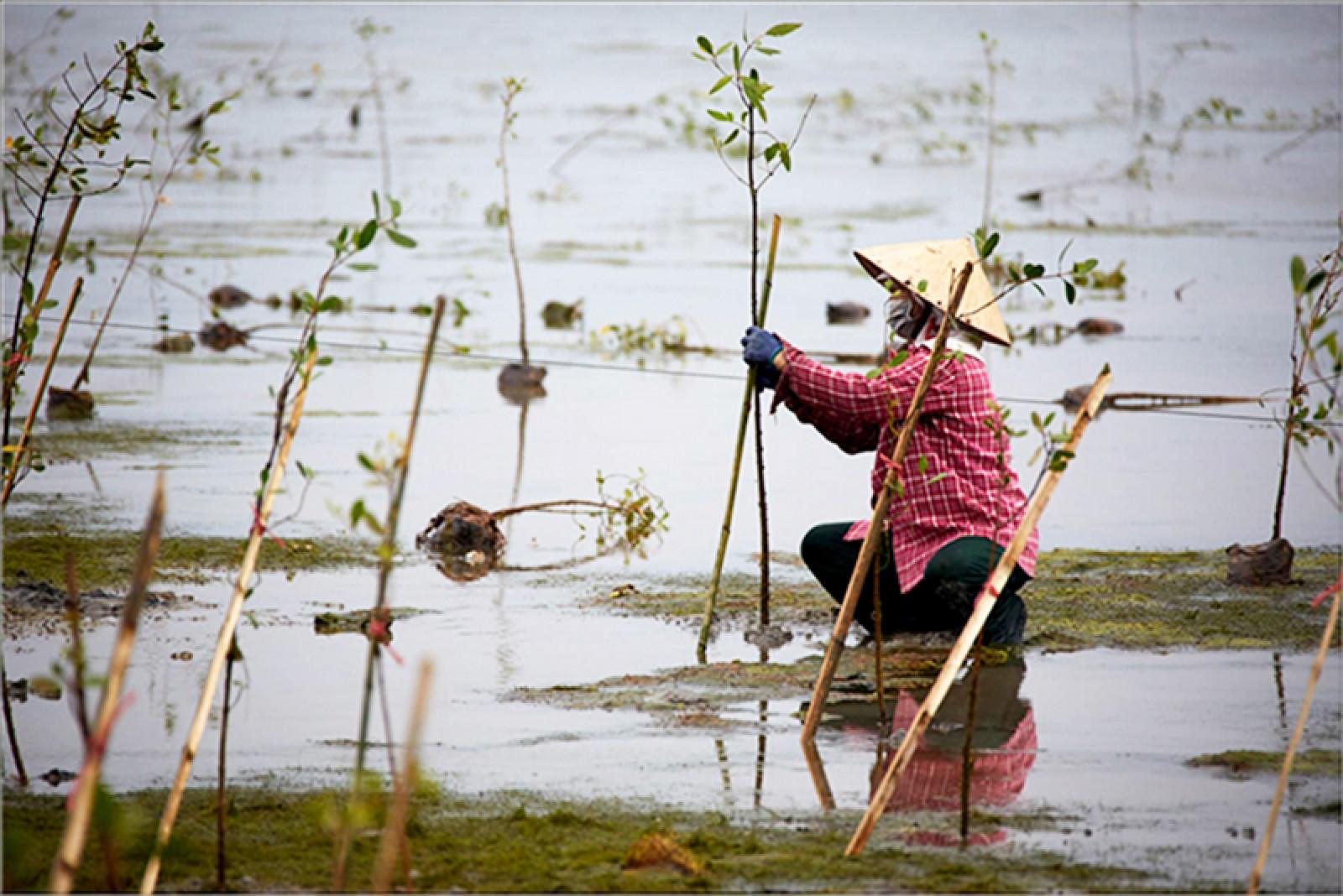 Thúc đẩy bình đẳng giới trong ứng phó với biến đổi khí hậu, giảm nhẹ rủi ro thiên tai - Ảnh 1