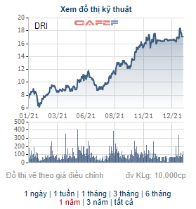 DRI tăng 133% từ đầu năm 2021, Cao su Đắk Lắk lấy ý kiến cổ đông về việc niêm yết trên HNX - Ảnh 1.