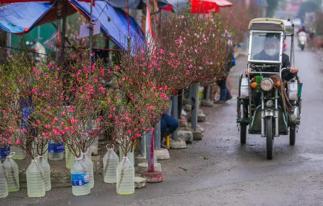 Sắc xuân xuống phố, nhiều tiểu thương méo mặt vì thị trường Tết ảm đạm - Ảnh 6.