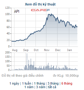 APEC Investment (API) triển khai phát hành gần 46 triệu cổ phiếu thưởng tỷ lệ 120% - Ảnh 2.