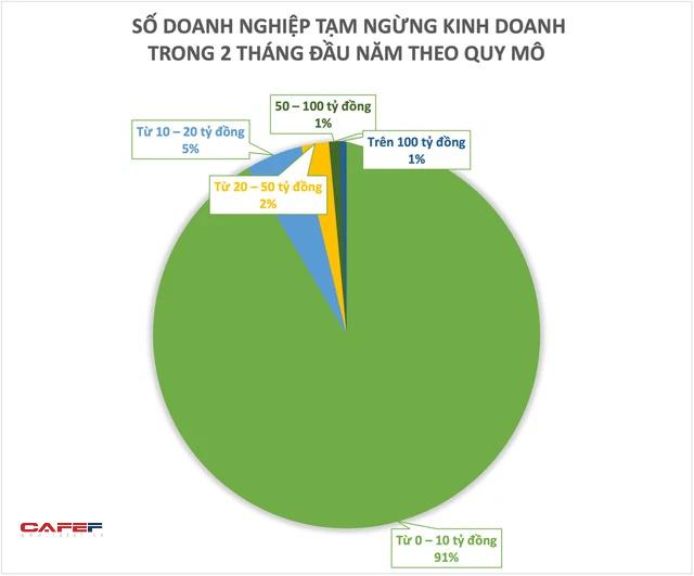 2 tháng đầu năm, gần 190 doanh nghiệp quy mô trên 100 tỷ đồng tạm ngừng kinh doanh - Ảnh 1.