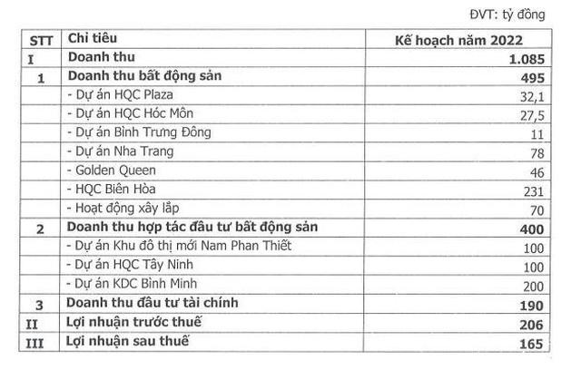 Địa Ốc Hoàng Quân (HQC): Năm 2022 dự phát hành 218 triệu cổ phiếu hoán đổi nợ với giá 10.000 đồng/cp - Ảnh 1.