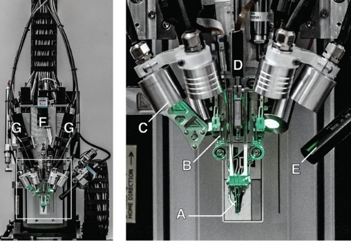 Căn bệnh kinh niên cả thế giới không ai trị được, Elon Musk nói cấy chip Neuralink vào não chắc chắn khỏi  - Ảnh 2. Căn bệnh kinh niên cả thế giới không ai trị được, Elon Musk nói cấy chip Neuralink vào não chắc chắn khỏi  - Ảnh 2.