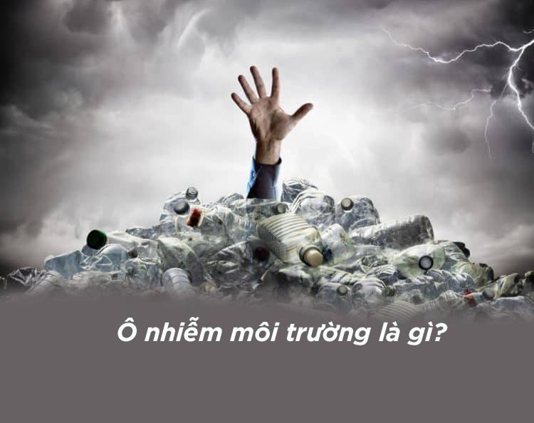 Ô nhiễm môi trường là gì? Sự khác biệt giữa ô nhiễm môi trường và suy thoái môi trường - Ảnh 1