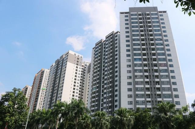 Xây dựng CDC mang gì về sau nửa năm cùng cả nước phục hồi? - Ảnh 1. Xây dựng CDC mang gì về sau nửa năm cùng cả nước phục hồi? - Ảnh 1.