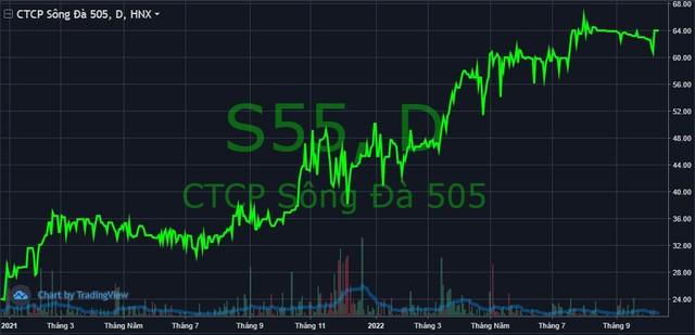 Đem gần như toàn bộ tiền nhàn rỗi đầu tư chứng khoán, một doanh nghiệp sách bất ngờ chiến thắng thị trường với cổ phiếu “họ” Sông Đà - Ảnh 2.