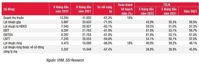 SSI Research: Hơn 80% doanh thu và lợi nhuận của Vinhomes sẽ rơi vào 6 tháng cuối năm - Ảnh 1.