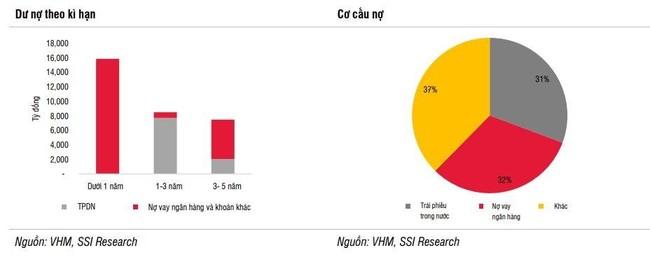 SSI Research: Hơn 80% doanh thu và lợi nhuận của Vinhomes sẽ rơi vào 6 tháng cuối năm - Ảnh 2.