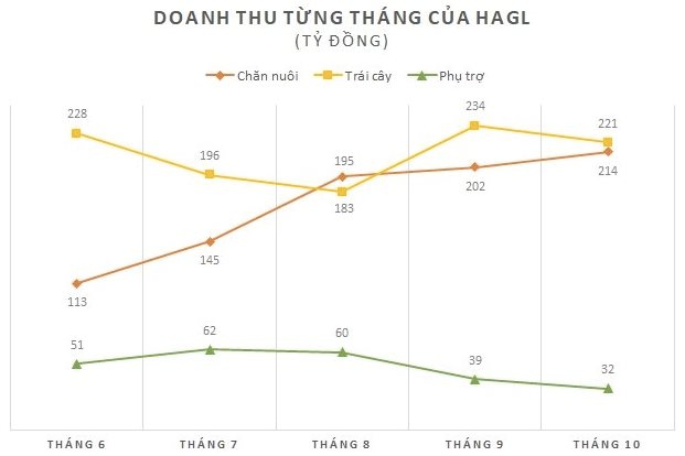 Trồng chuối để xuất khẩu hay để nuôi heo khi 2/3 sản lượng chuối dùng cho heo ăn: Hoàng Anh Gia Lai nói gì? - Ảnh 3.