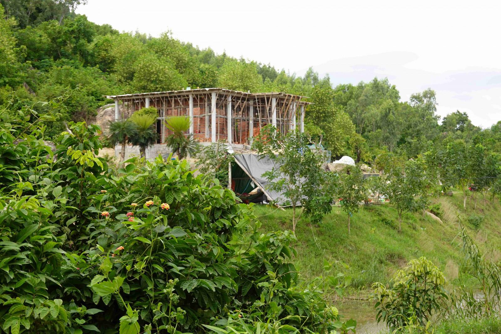 Bình Định: Nhiều địa phương chưa quyết liệt xử lý lấn chiếm, xây dựng trên đất lâm nghiệp - Ảnh 1