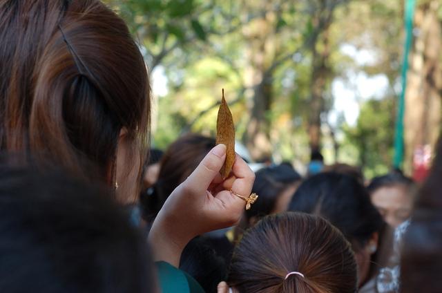 Hàng nghìn người đổ về phiên chợ mua đồ ăn bằng lá độc nhất vô nhị ở miền Tây - Ảnh 15.