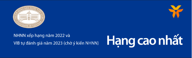 VIB: Lãi quý 1 đạt 2.700 tỷ, tăng 18%, đang trả cổ tức 35% và ESOP - Ảnh 4.