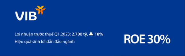 VIB: Lãi quý 1 đạt 2.700 tỷ, tăng 18%, đang trả cổ tức 35% và ESOP - Ảnh 1.