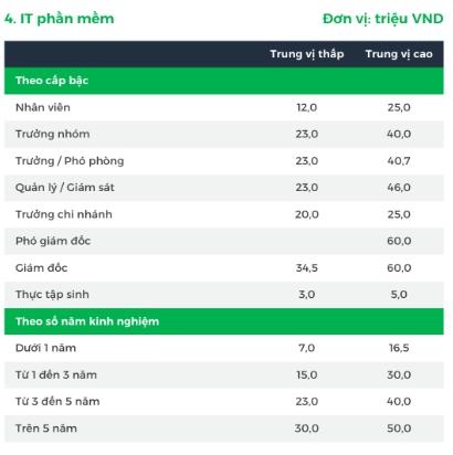 “Vua của mọi ngành” có lương  đến 60 triệu ở Việt Nam, nhưng hơn 200.000 nhân sự toàn cầu lại rơi vào “khốn đốn”: Thời hoàng kim liệu đã qua? - Ảnh 1.