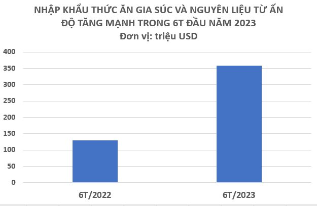 Nhập khẩu một mặt hàng quan trọng từ Ấn Độ tăng mạnh 111% trong nửa đầu năm - là mặt hàng sản lượng của Ấn Độ gần gấp đôi so với Việt Nam - Ảnh 2.