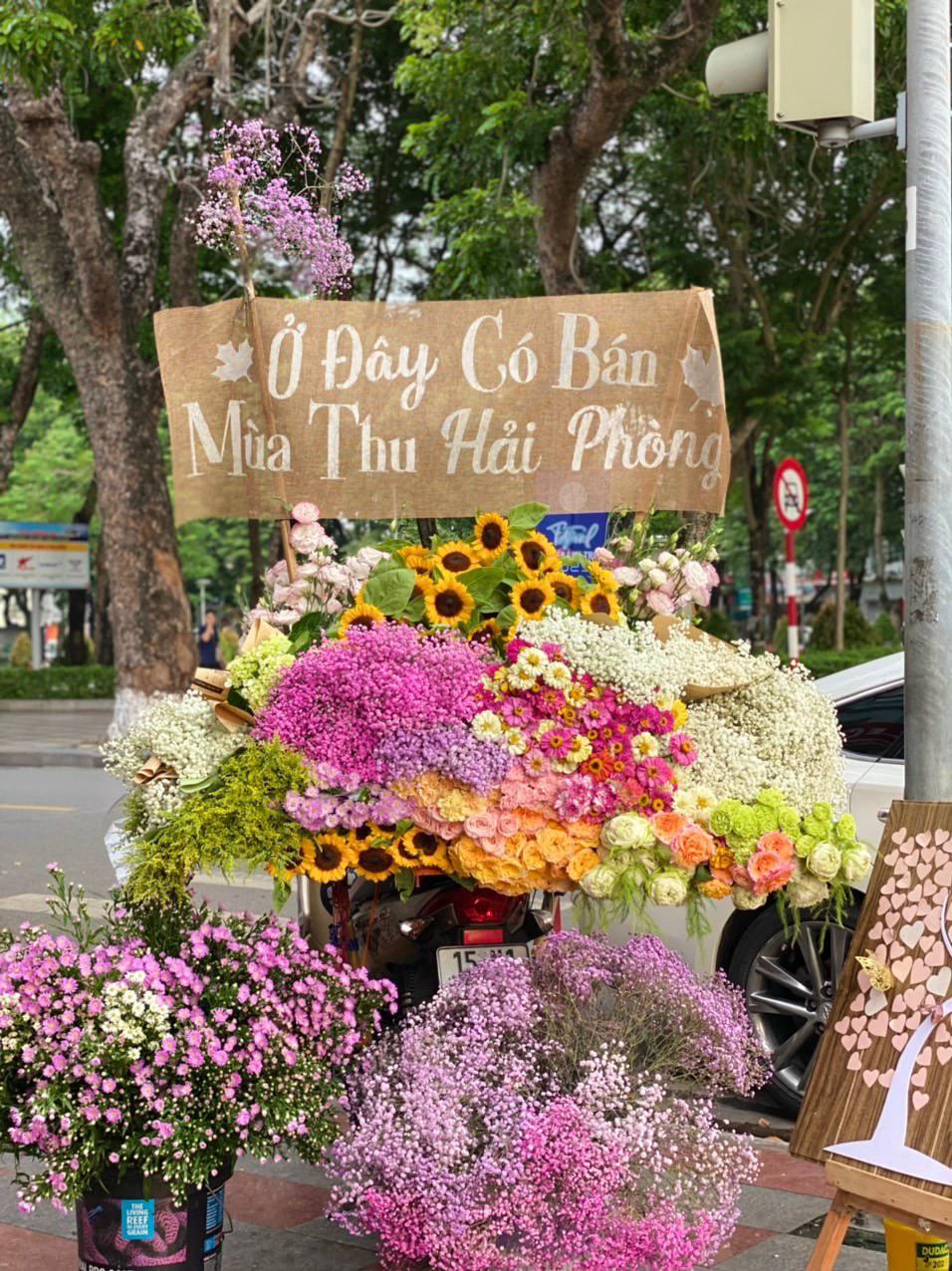 “Bán mùa thu Hà Nội": Lời 1 triệu/ ngày, dưỡng da cả năm phơi nắng một ngày như tôm luộc nhưng vui - Ảnh 1.