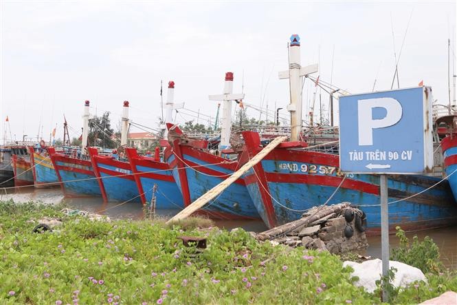 Ảnh minh họa Ảnh minh họa