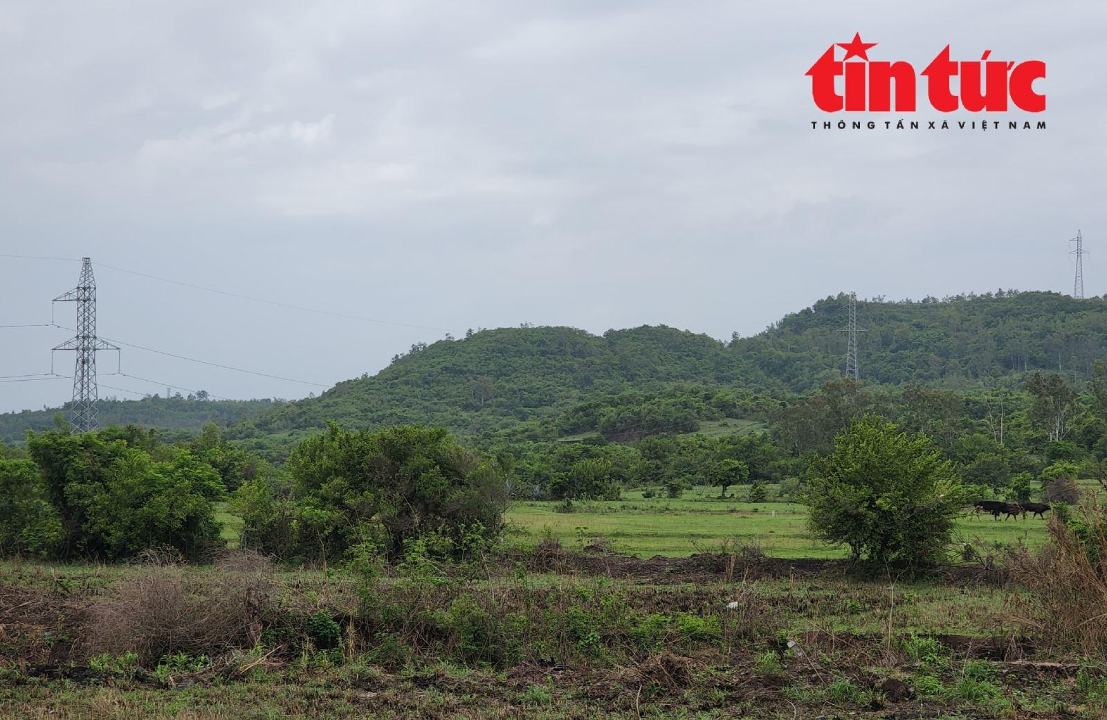 Vượt nắng thắng mưa, tháo gỡ mặt bằng, đảm bảo tiến độ cao tốc Chí Thạnh - Vân Phong - Ảnh 6.