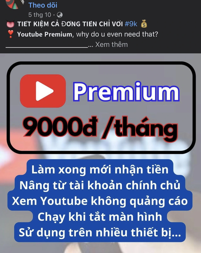 Nhiều người dùng Internet "sập bẫy" chiêu lừa đảo mua YouTube Premium với giá 9K - Ảnh 4.