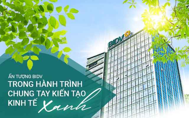 Ấn tượng BIDV trong hành trình chung tay kiến tạo kinh tế xanh