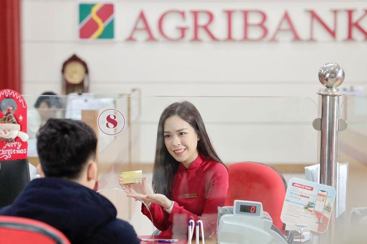 Một công ty có vốn điều lệ 12 tỷ đồng đang nợ Agribank gần 200 tỷ đồng- Ảnh 1.