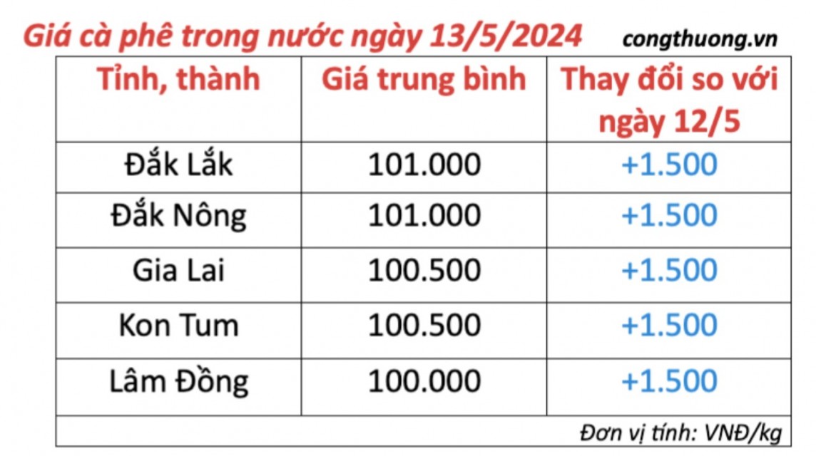 Giá cà phê hôm nay, 13/5/2024: Giá cà phê trong nước lấy lại đà tăng