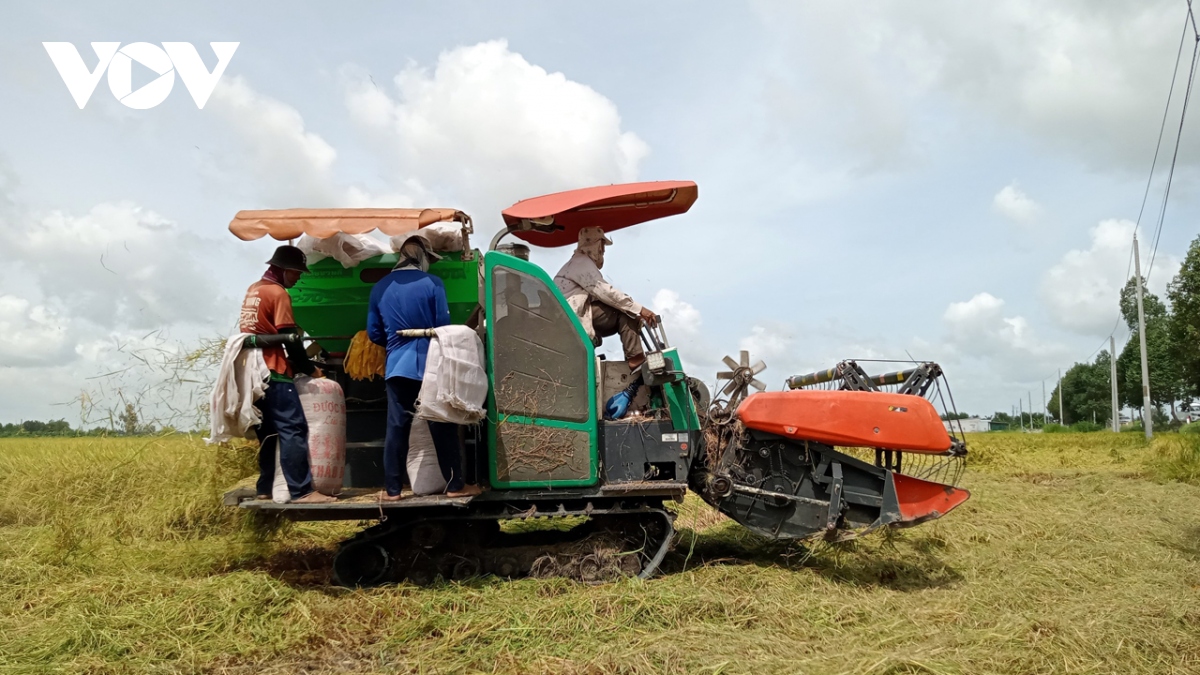 Việt Nam đứng trước cơ hội lớn để trở thành hình mẫu về kinh tế tuần hoàn- Ảnh 1.