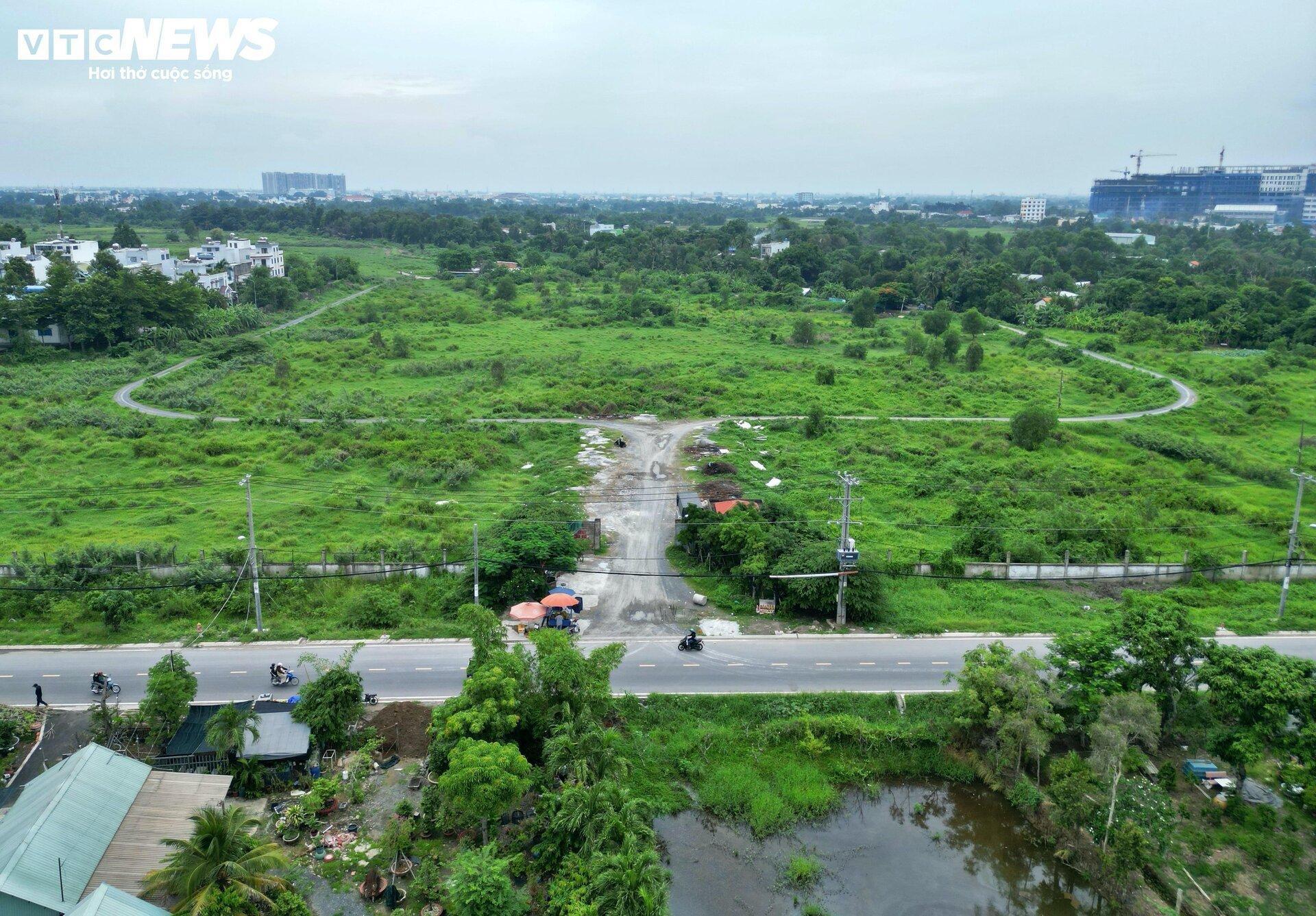 26ha đất làm Depot Metro TP.HCM bị bỏ hoang, thành nơi chăn thả gia súc- Ảnh 2.