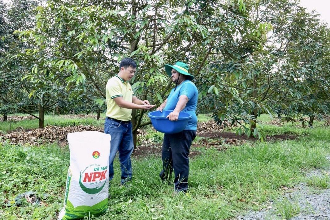 Phân bón Cà Mau đồng hành nâng cao giá trị sầu riêng Việt Nam