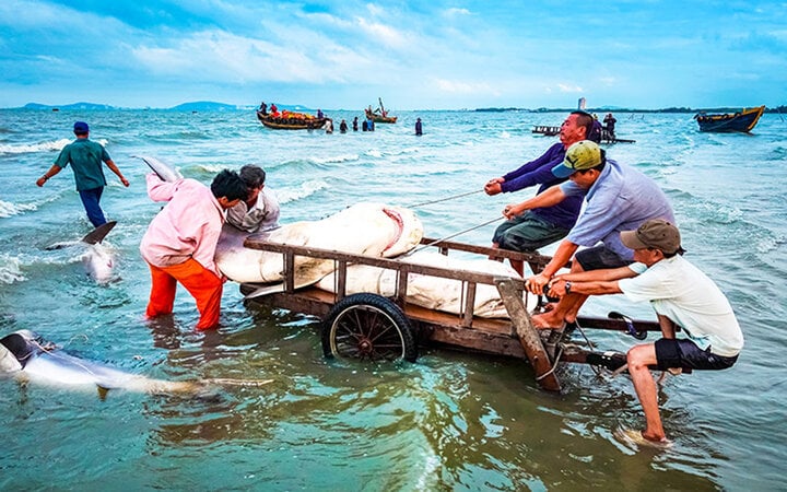 Bà Rịa-Vũng Tàu: Hướng đến trung tâm kinh tế biển, phát triển bền vững- Ảnh 3.