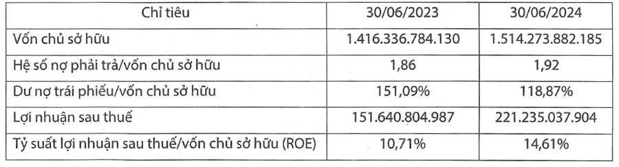 Điện Mặt trời Trung Nam báo lãi bán niên hơn 220 tỷ đồng sau khi 'về tay' ACIT- Ảnh 1.