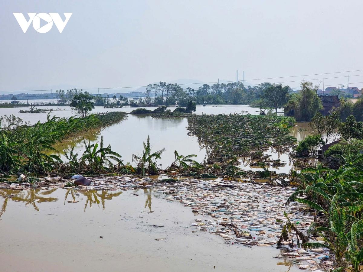 Khung cảnh tan hoang tại loạt công trình sai phép bủa vây cầu nghìn tỷ ở Bắc Ninh- Ảnh 8.