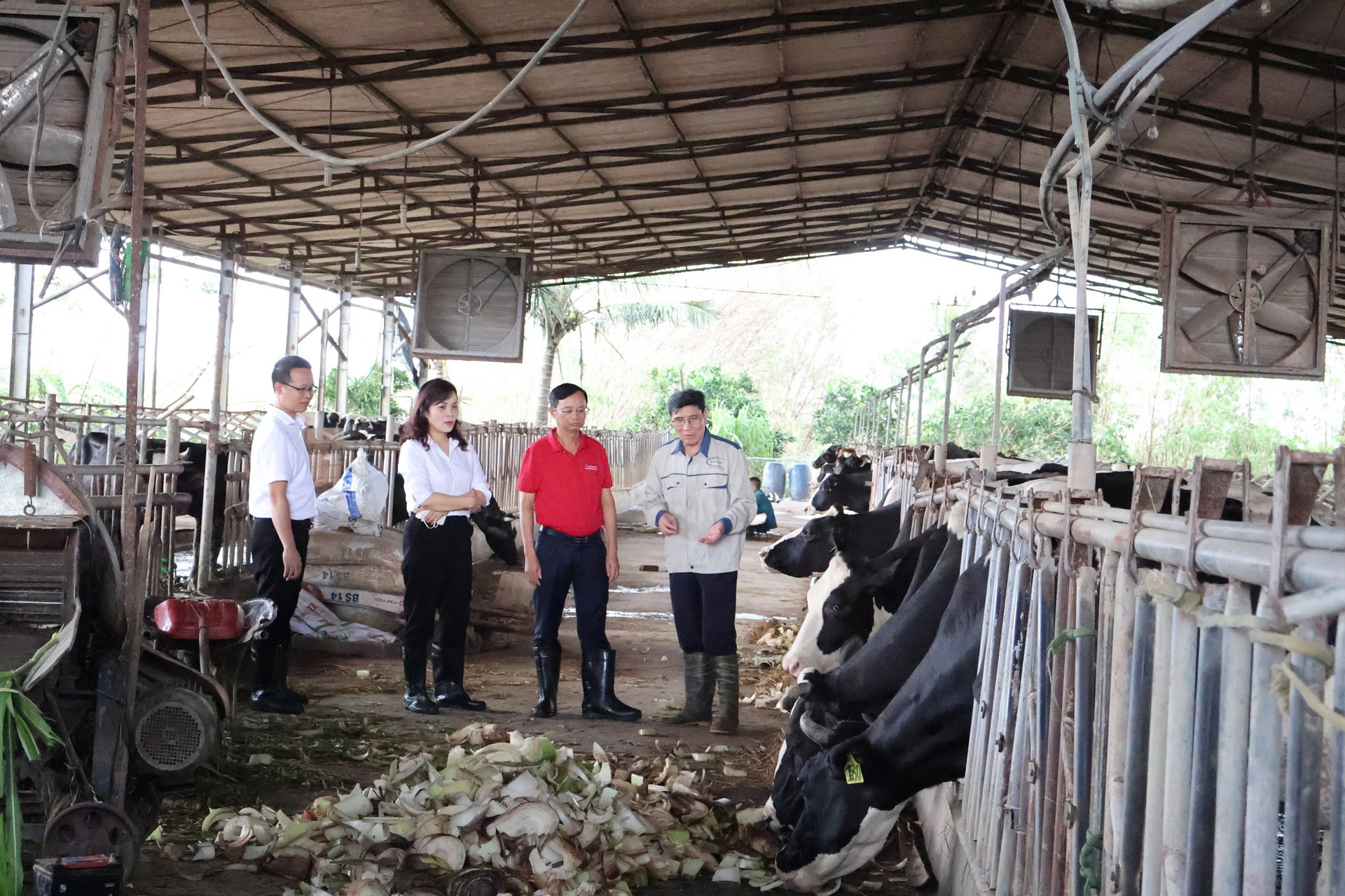 agribank uu dai lai vay doi voi khach hang bi thiet hai do bao so 3 va lu lut sau bao hinh 1