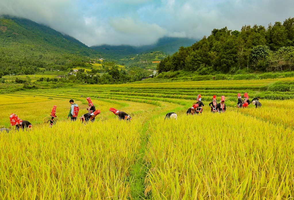 Quảng Ninh: Sẵn sàng Đại hội đại biểu các dân tộc thiểu số cấp tỉnh lần thứ IV, năm 2024 Quảng Ninh: Sẵn sàng Đại hội đại biểu các dân tộc thiểu số cấp tỉnh lần thứ IV, năm 2024