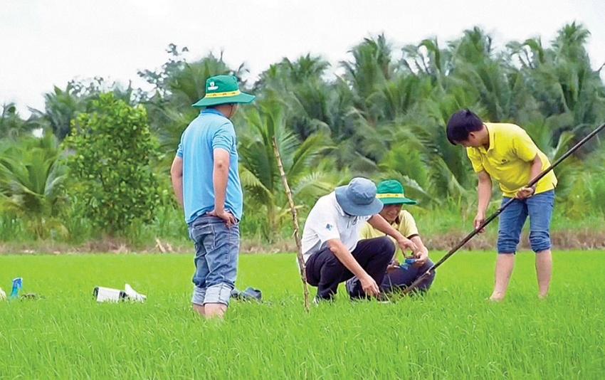 Chuyện “khám bệnh” cho đất của Phân bón Cà Mau