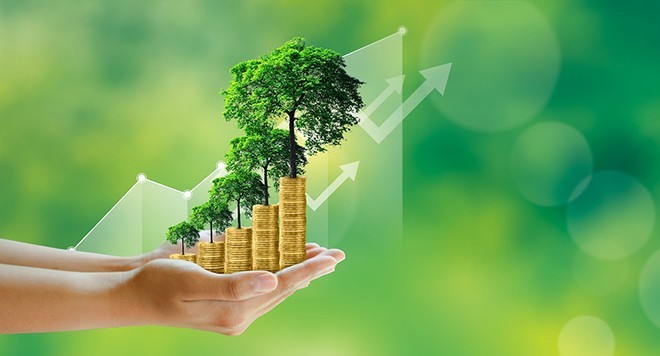 Thu hút đầu tư các dự án năng lượng tái tạo, thúc đẩy tăng trưởng xanh