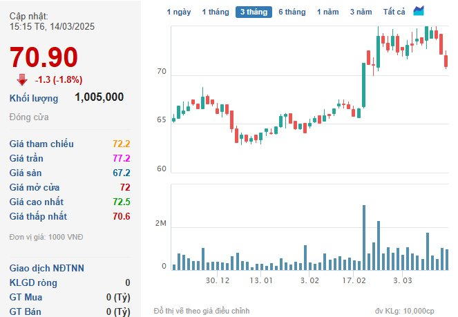 Cơ Điện Lạnh (REE) dự kiến năm thứ 4 liên tiếp chia cổ tức 25%- Ảnh 2.