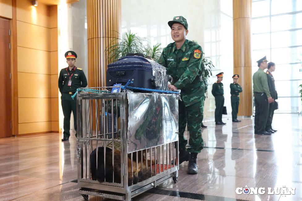 hinh anh 80 quan nhan len duong sang myanmar ho tro khac phuc hau qua dong dat hinh 5