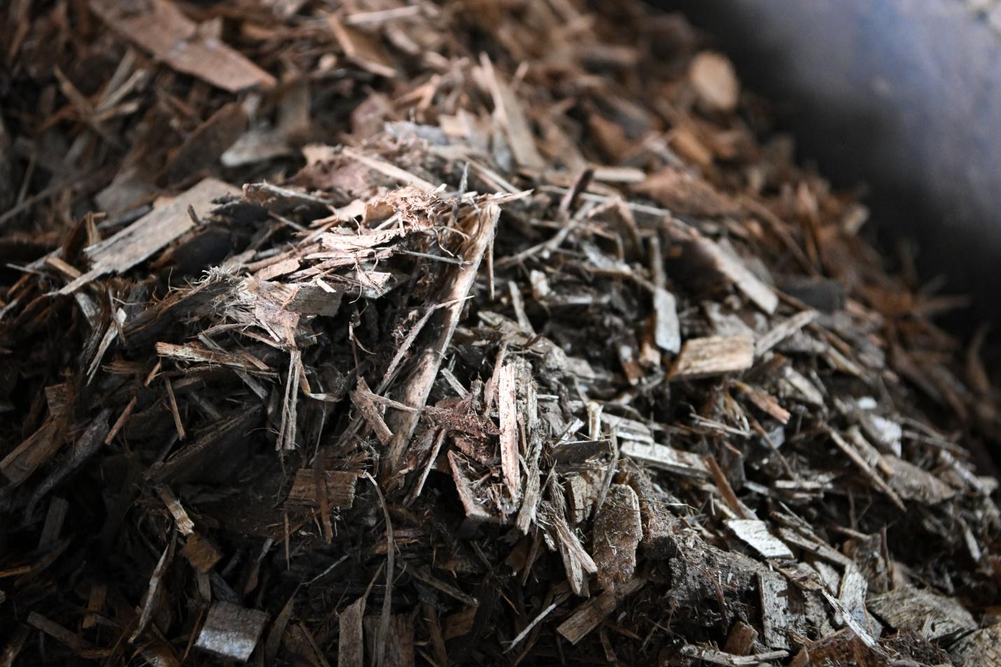 Tiên phong trung hòa carbon, TH nắm lợi thế lớn trong xu hướng tiêu dùng hiện đại- Ảnh 1. Tiên phong trung hòa carbon, TH nắm lợi thế lớn trong xu hướng tiêu dùng hiện đại- Ảnh 1.