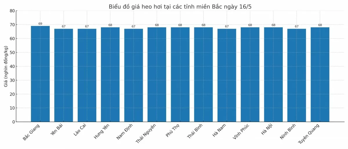 Biểu đồ giá heo hơi tại các tỉnh miền Bắc ngày 16/5.